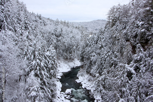 Winter landscape with snow-covered trees along a river in Quechee Gorge, Vermont
