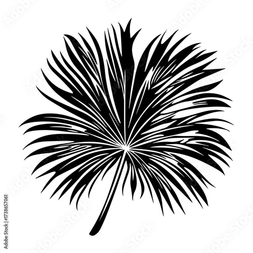 Tropical palm leaf silhouette vector – bold fan palm frond botanical icon for summer jungle design