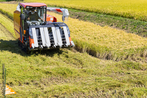 大型コンバインによる稲刈り