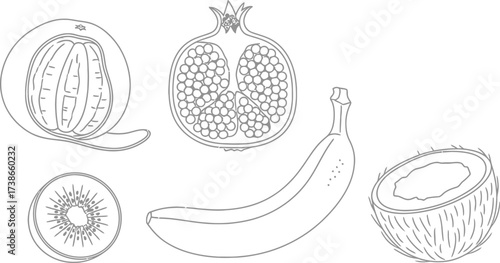 Vibrant collection of fresh, healthy fruits depicted in a clean line art style.