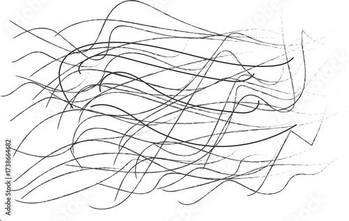  Serene composition of delicate, flowing black and white wavy lines, creating an abstract and elegant texture
