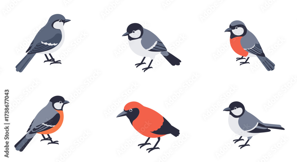 Obraz premium Colorful flat style birds on white background