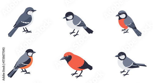 Colorful flat style birds on white background