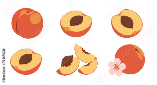 Collection of peaches with slices and blossom on white background in flat style