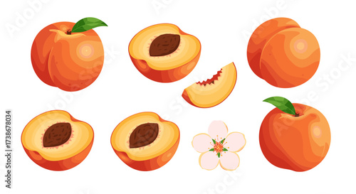 Fresh peach set with halves, whole fruit, and blossom on white background