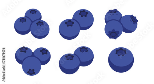 Set of fresh blueberries in modern flat design style