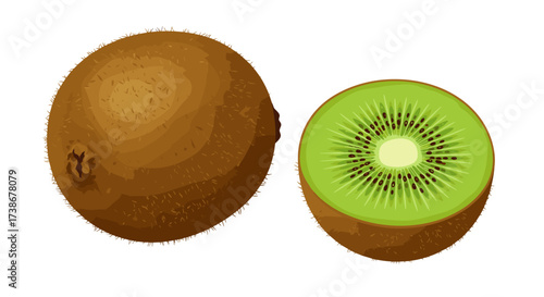 Realistic kiwi fruit whole and sliced with detailed texture