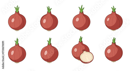 Fresh red onion patterns with halved and whole designs for culinary projects