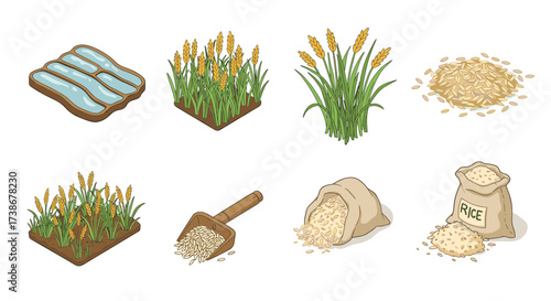 Rice cultivation and harvesting icons set: fields, plants, and grains