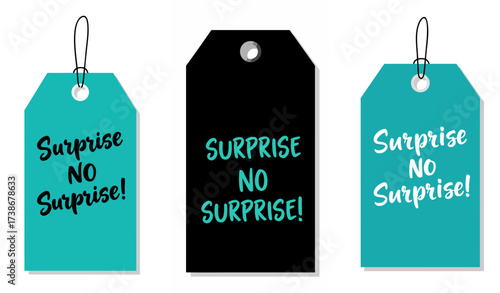 Gift tags with "Surprise No Surprise!" text in colorful designs, white background, isolated, vector, Funny Tags for Gifts  
