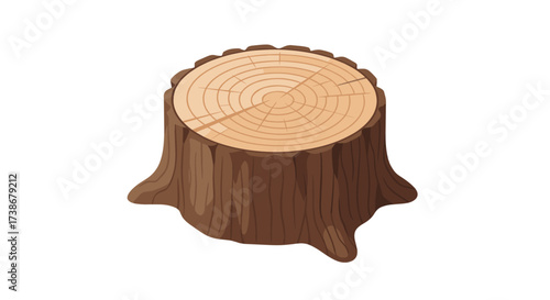Realistic tree stump with growth rings on white background