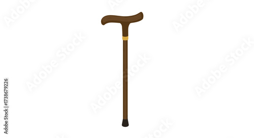 Elegant wooden walking cane with curved handle and gold accent