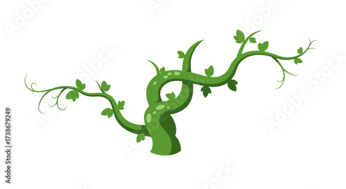 Twisting green vine with leaves on a white background