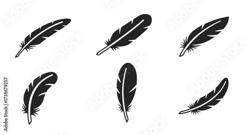 Elegant feather silhouettes collection in black and white for design projects