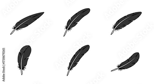 Black feather set on white background in flat design style