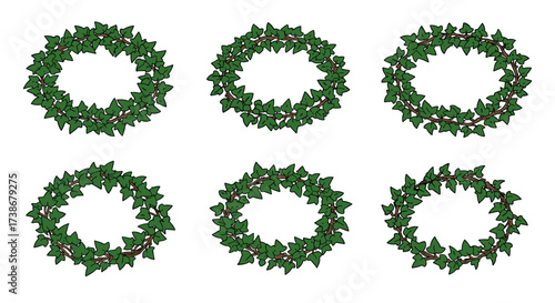 Set of green ivy wreaths on white background for decorative design projects