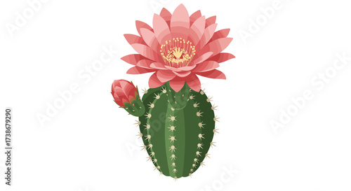 Blooming cactus with pink flower on a green stem in realistic style