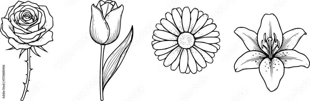Obraz premium Classic flowers outline set. Rose tulip daisy and lily vector in elegant black line style. 