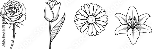 Classic flowers outline set. Rose tulip daisy and lily vector in elegant black line style.
