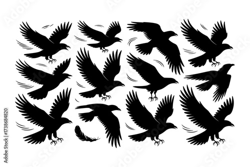 Birds silhouettes vector set, Collection of black isolated of flying birds seagulls against a white background, Beautiful bird flying silhouette set of vector, USA national birds silhouettes - Eagles,