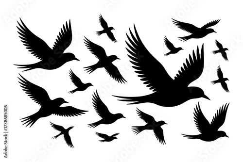 Birds silhouettes vector set, Collection of black isolated of flying birds seagulls against a white background, Beautiful bird flying silhouette set of vector, USA national birds silhouettes - Eagles,
