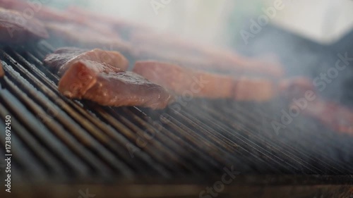 Brazilian barbecue, meat medals roasting on the grill