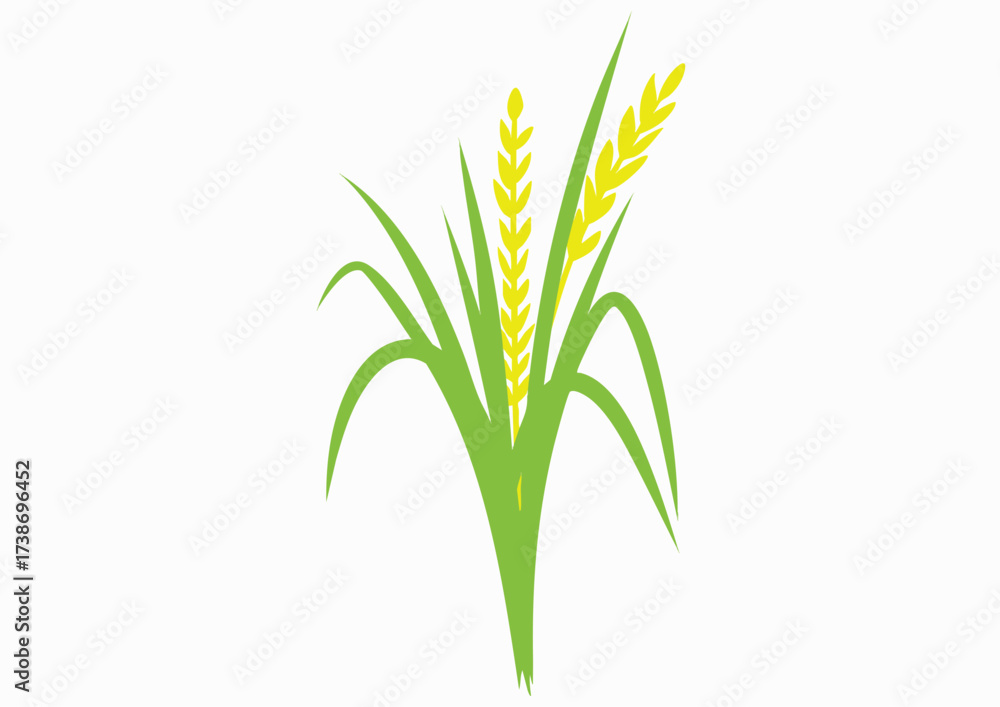 Fototapeta premium A stylized illustration of rice plants with green leaves and yellow grains, isolated on white.