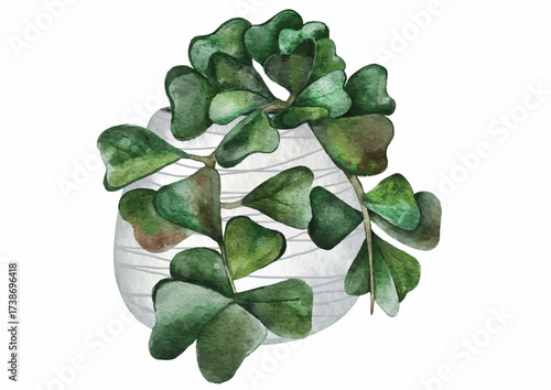Watercolor illustration of a potted Hoya kerrii plant with heart-shaped leaves.