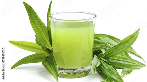 This vibrant video showcases a refreshing green beverage in a clear glass, elegantly surrounded by lush, verdant plant leaves. The bright, clean aesthetic against a pure white background highlights th