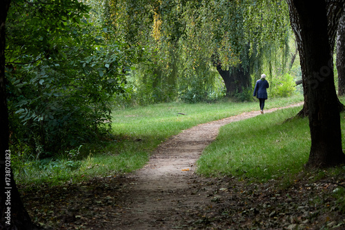 Wallpaper Mural A senior woman peacefully walks through a lush forest, enjoying the serene atmosphere and beauty of nature on an overcast day, embracing tranquility and solitude in woodland. Torontodigital.ca