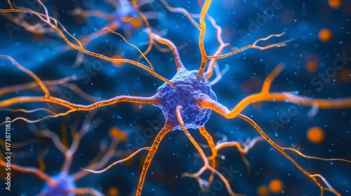 Understanding human neuron cells  the basics of synaptic transmission and neural communication