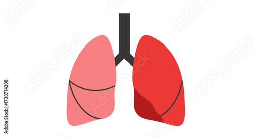 Vibrant lungs illustration symbolizing respiratory health, breathing, and pulmonary wellness in a modern, eye-catching style for medical or educational designs