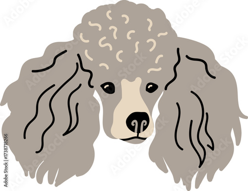 A stylized illustration of a grey poodles head