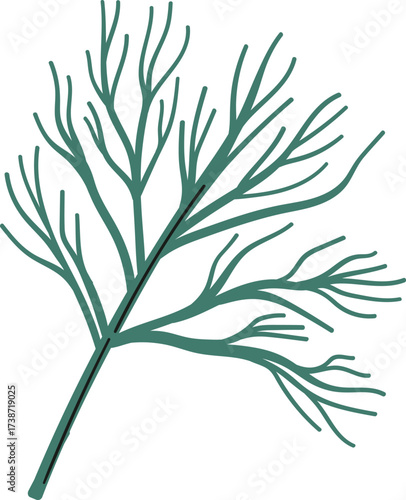A stylized illustration of a dill sprig with thin feathery branches