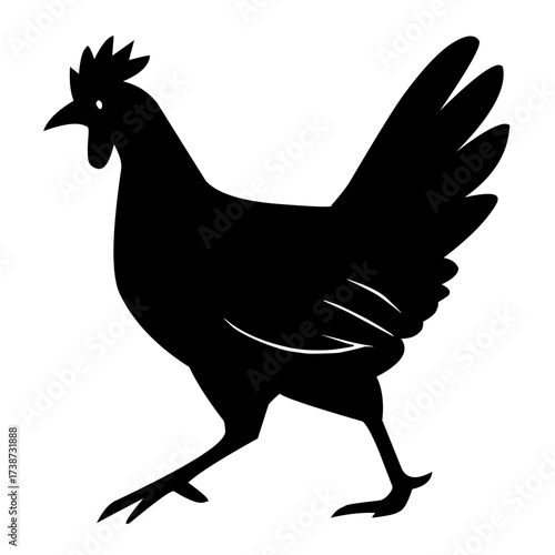 Vector illustration of black chicken