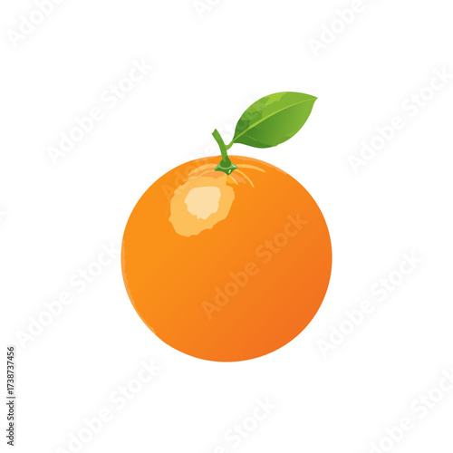 VECTOR 3