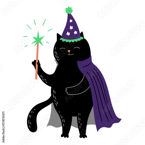 Black cat wizard with magic wand hat and cape