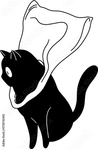 Black cat with a white cape