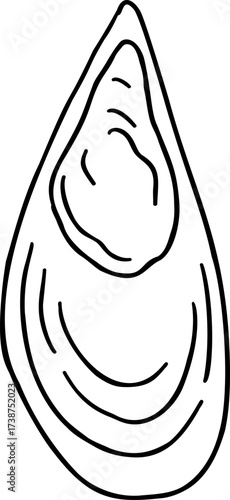 Black outline drawing of a mussel shell