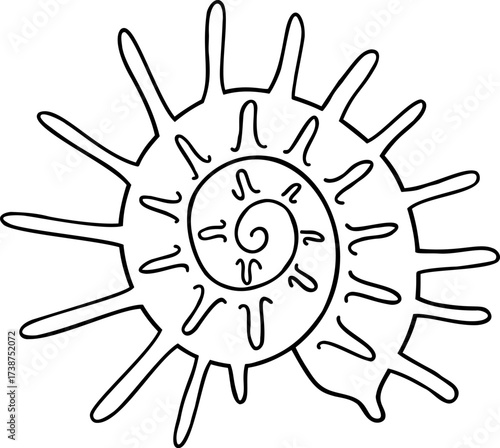 Black outline of a spiral ammonite fossil