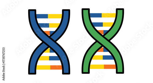 Two DNA strands, one blue and one green, with colored segments between them.