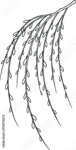 Black and White Outline of a Willow Tree Branch with Small Oval Leaves nature spring