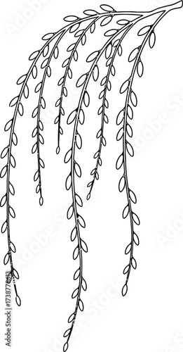 Black and White Illustration of a Weeping Willow Branch with Small Leaves Keywords: willow, branch, weeping willow, tree, nature, plant, leaves, foliage, hanging, drooping, delicate, organic