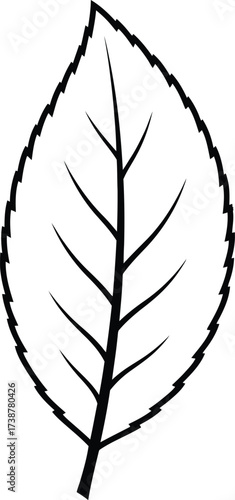 Outline of a Single Leaf with Jagged Edges vector illustration
