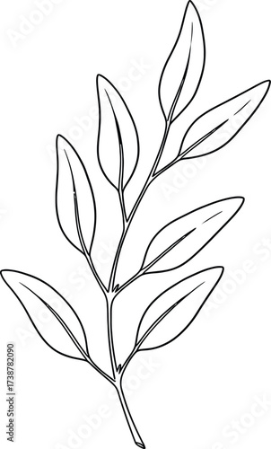Simple black and white line drawing of a branch with multiple oval-shaped leaves illustration outline