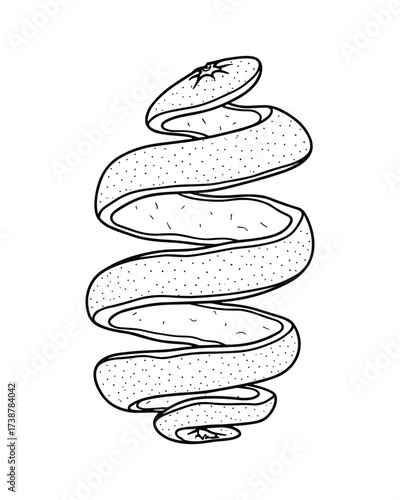 Orange peel spiral line art