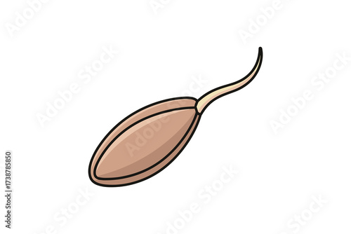 Sprouting Seed Illustration
