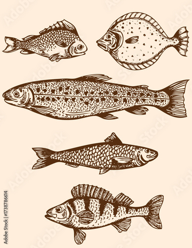 Five handdrawn brown fish silhouettes on a cream background