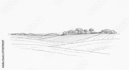Drawn landscape depicts rolling fields with layered lines leading toward a distant treeline, all rendered in fine ink strokes on a textured paper background, conveying a tranquil, pastoral scene.