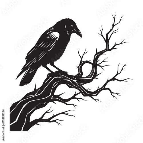 A detailed black and white ink illustration of a solitary crow perched on a gnarled bare tree branch against a stark white background